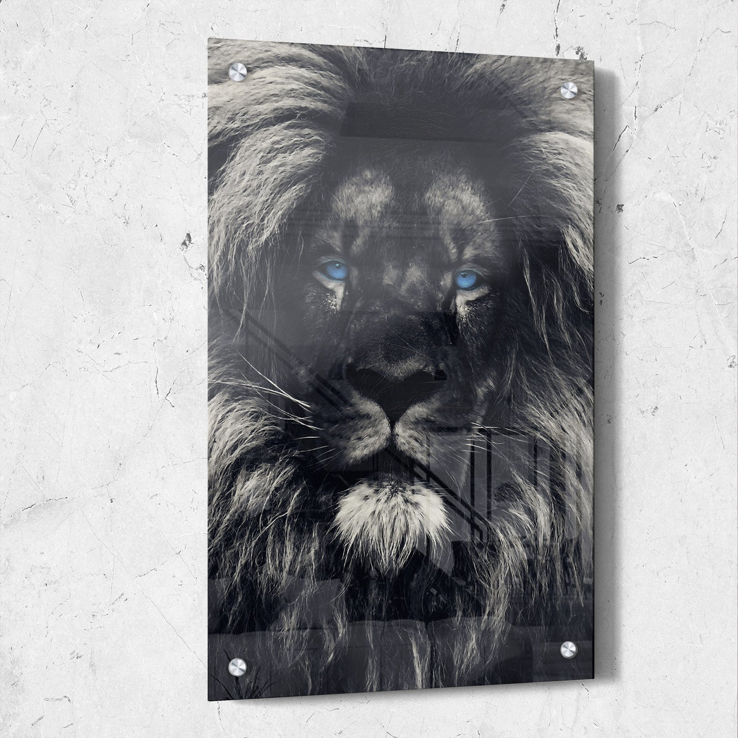 Dark Lion Blue Eyes