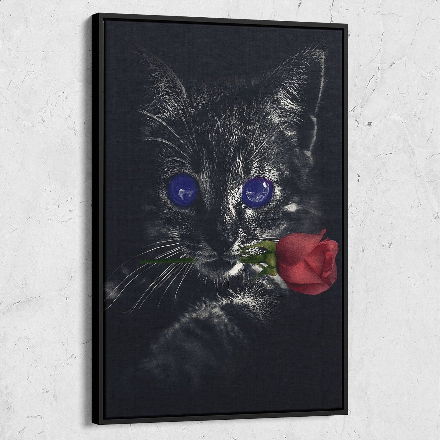 Dark Kitten Rose