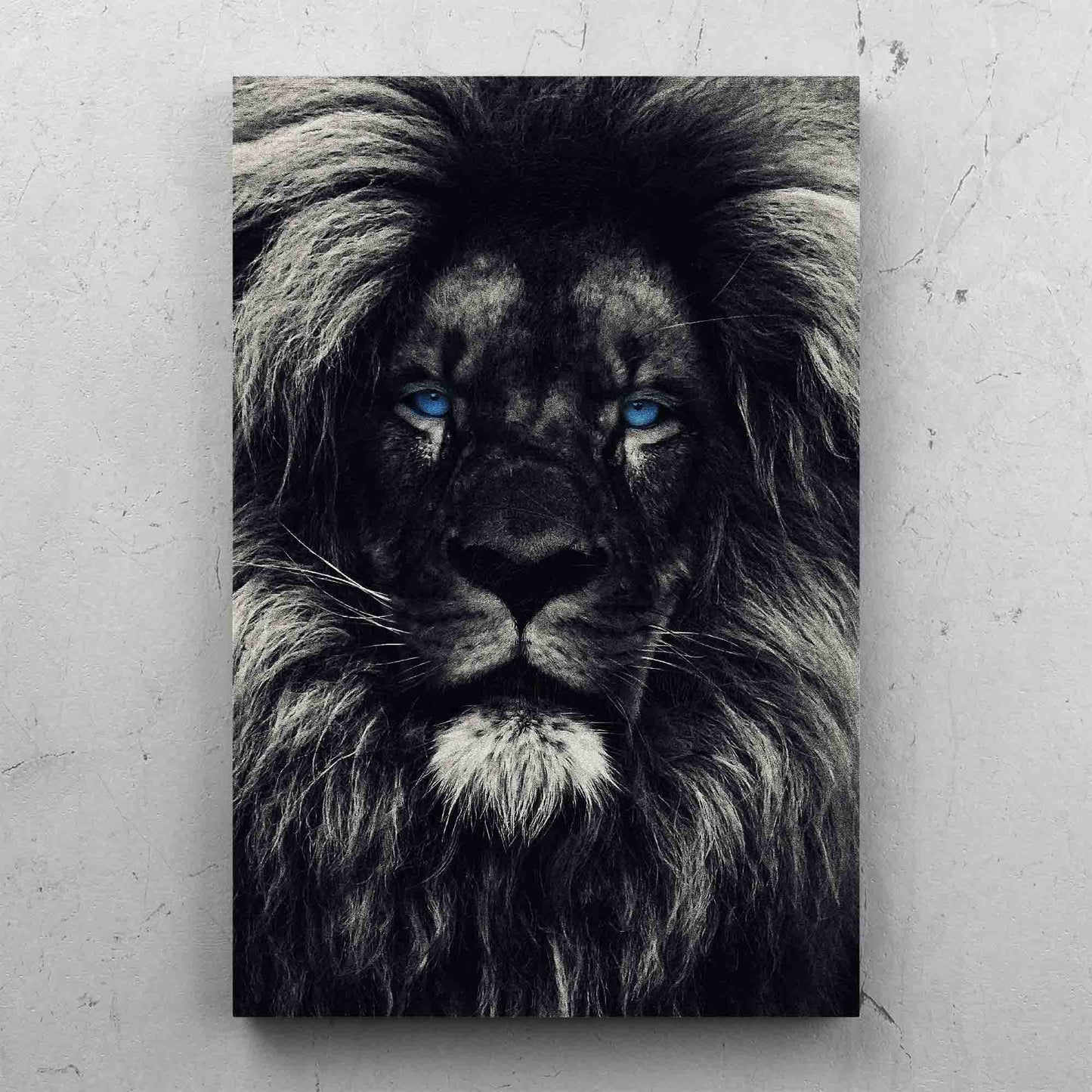 Dark Lion Blue Eyes