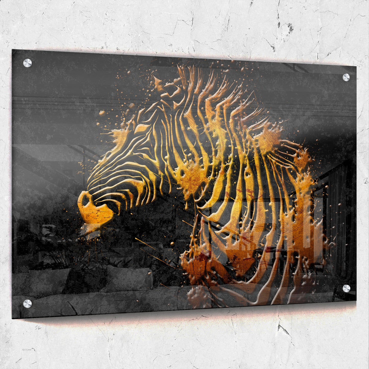 Gold Zebra