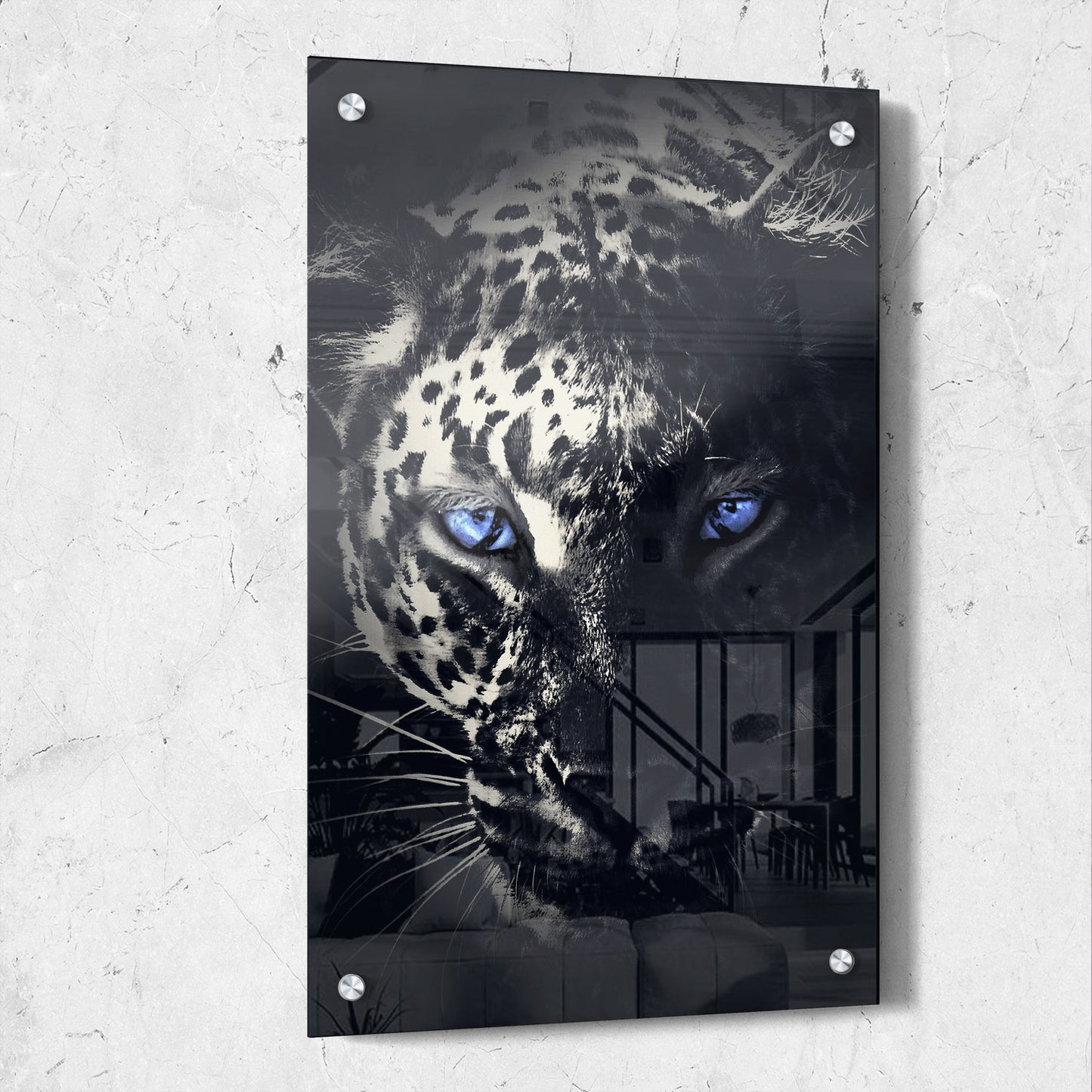 Dark Leopard Blue Eyes