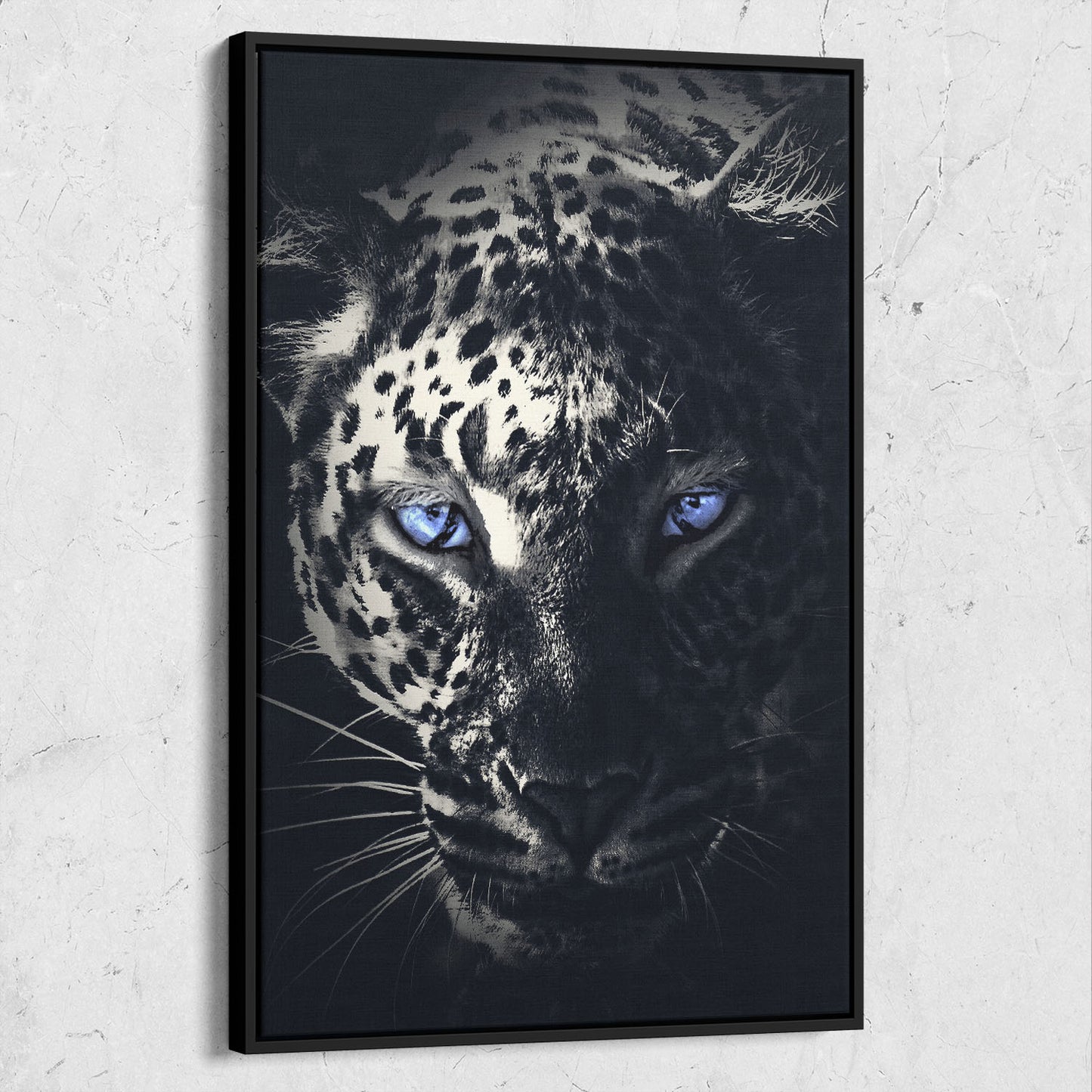 Dark Leopard Blue Eyes