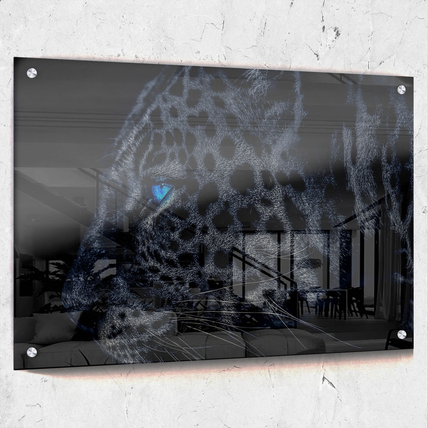 Dark Leopard Blue Eyes