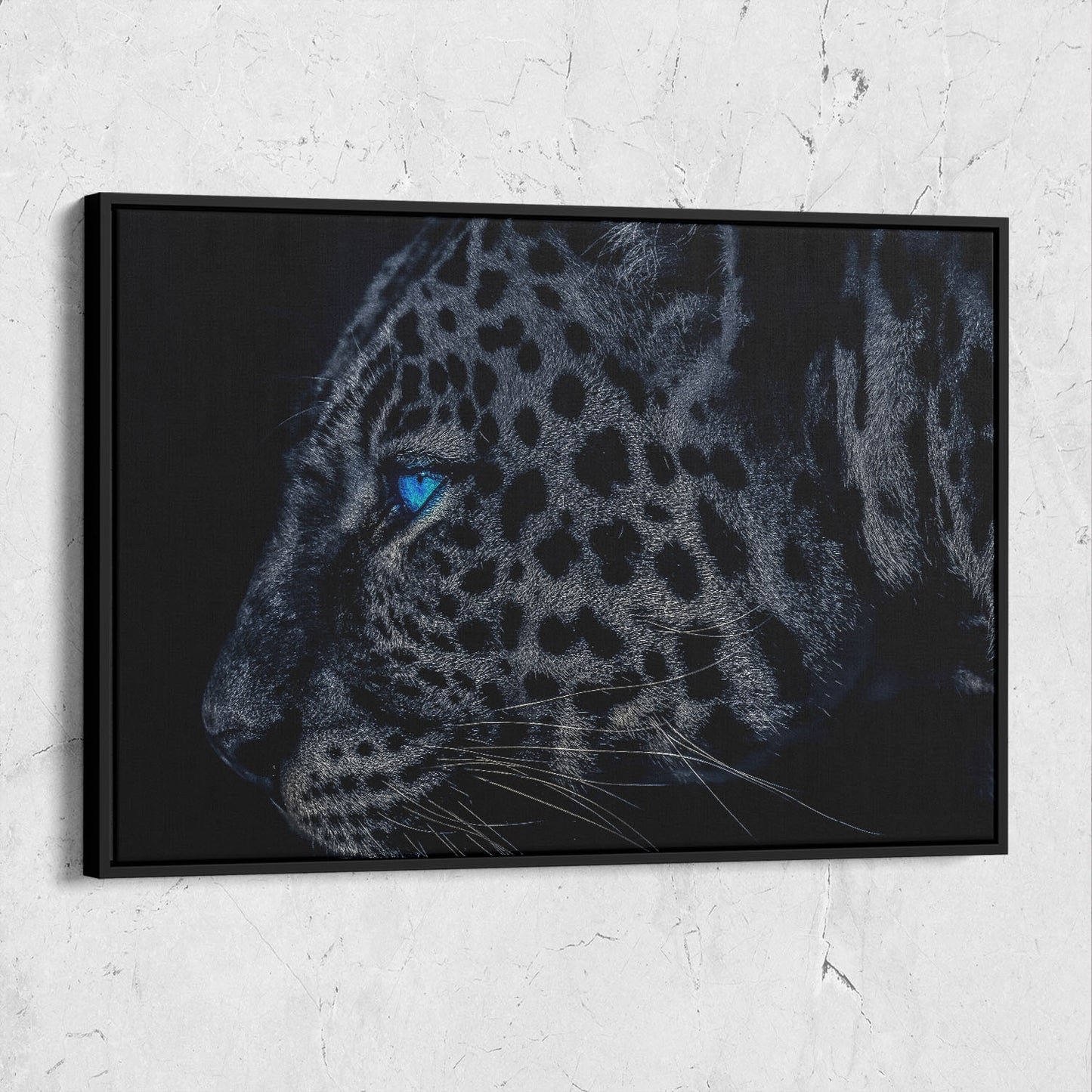 Dark Leopard Blue Eyes