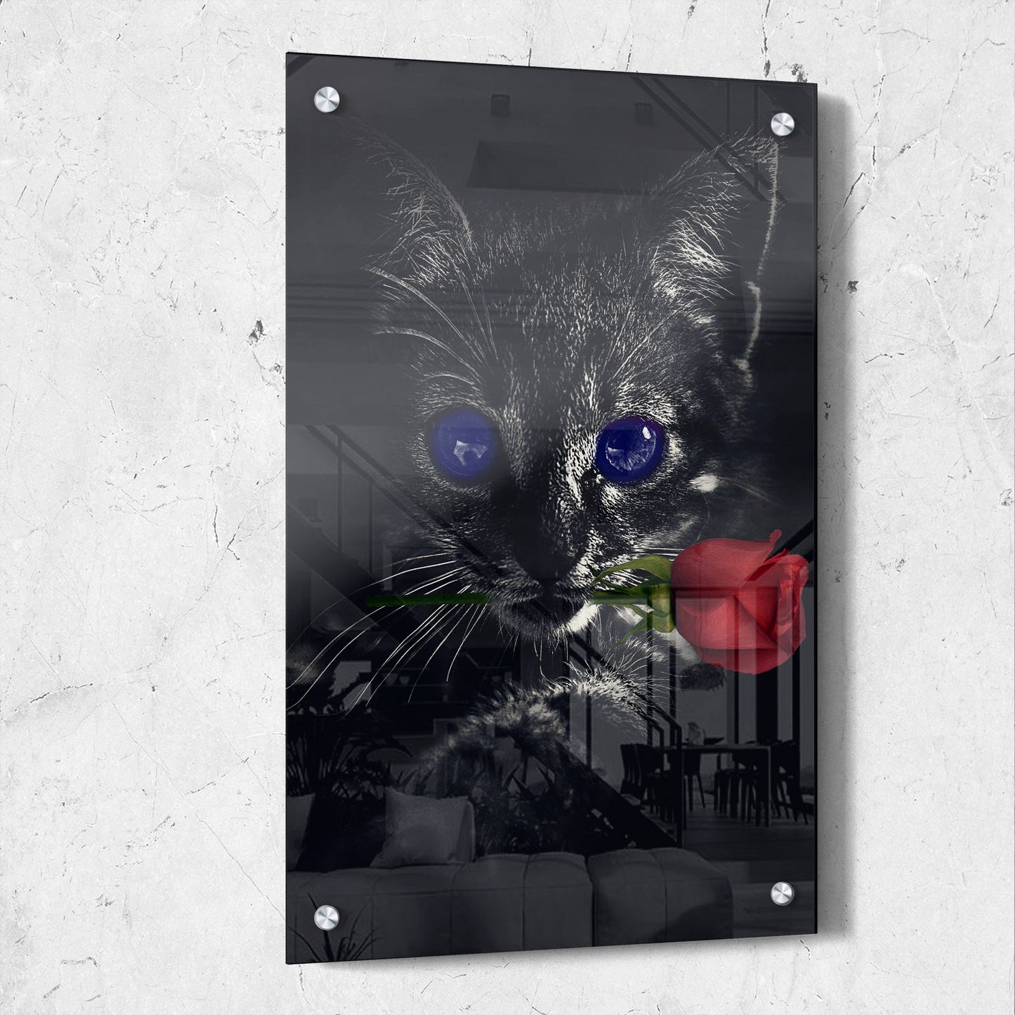 Dark Kitten Rose