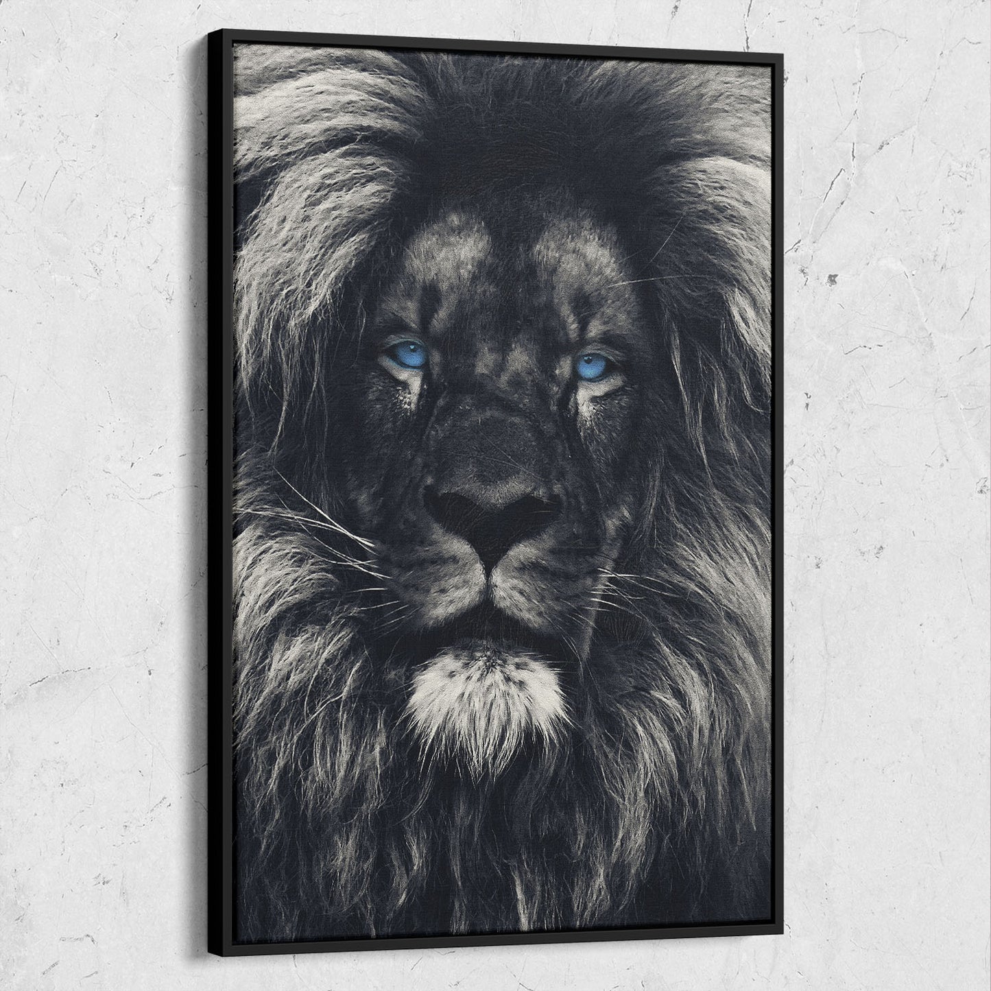 Dark Lion Blue Eyes