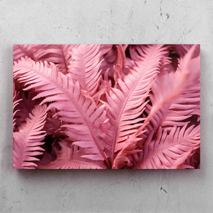 Pink Ferns