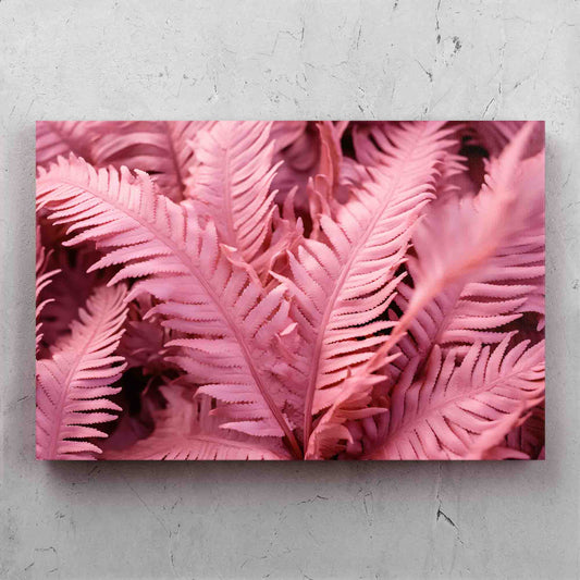 Pink Ferns