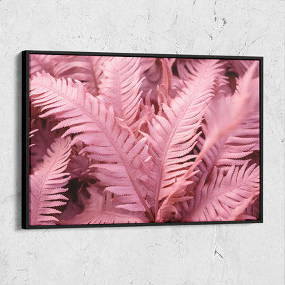 Pink Ferns