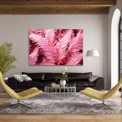 Pink Ferns