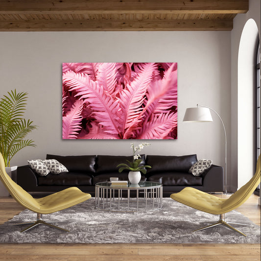 Pink Ferns