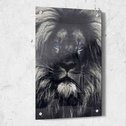 Dark Lion Blue Eyes