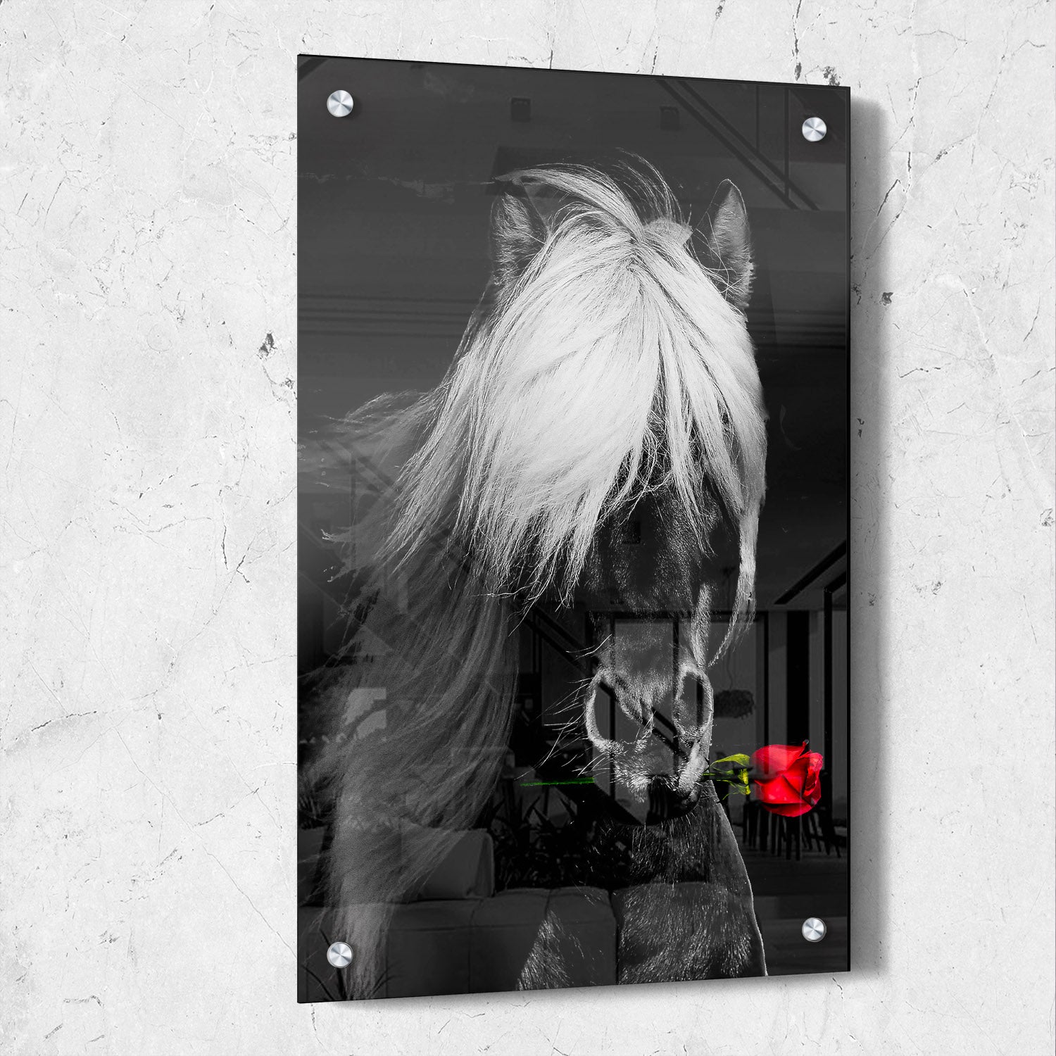 Dark Horse Rose