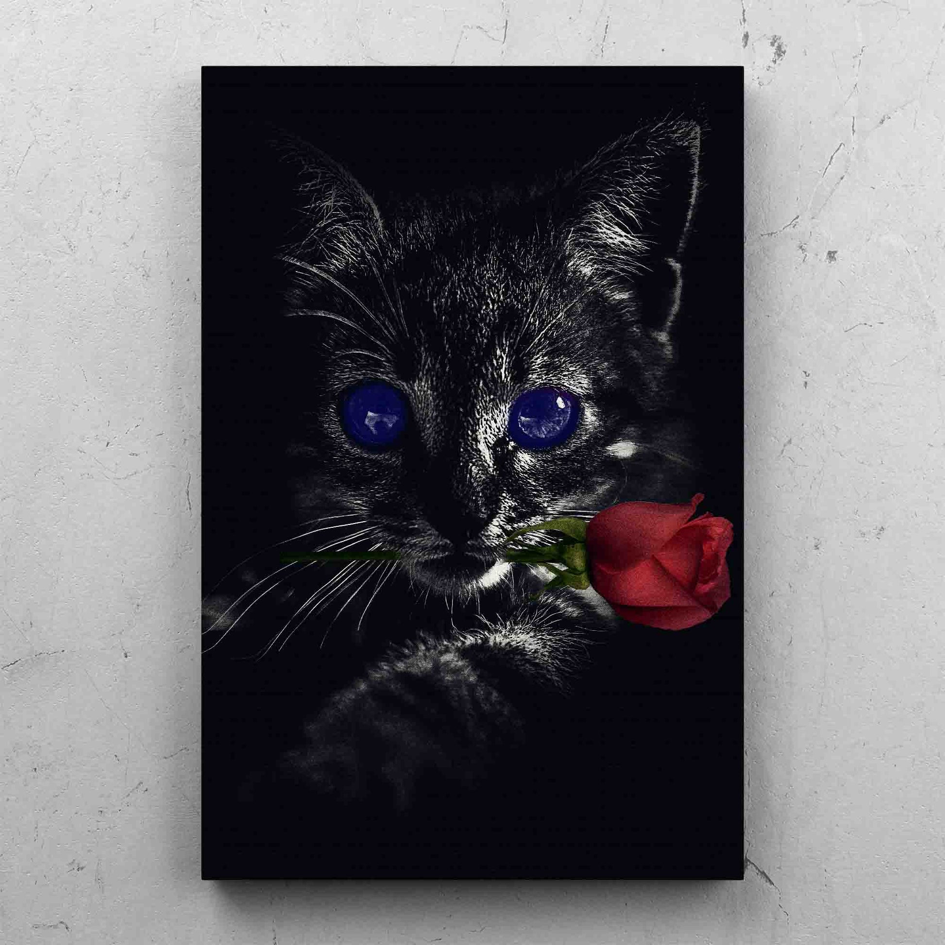 Dark Kitten Rose