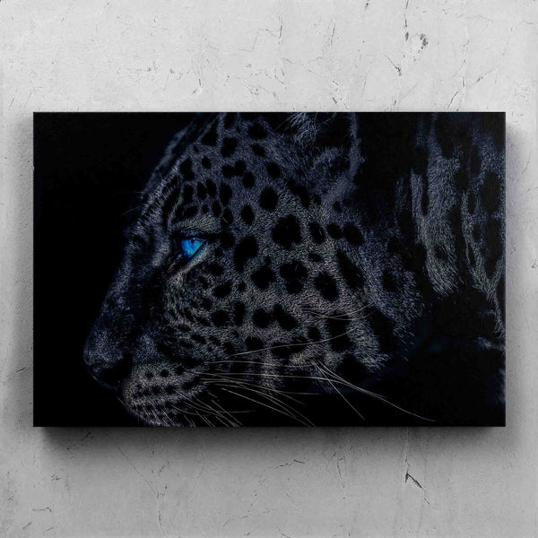 Dark Leopard Blue Eyes