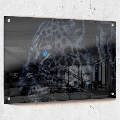 Dark Leopard Blue Eyes