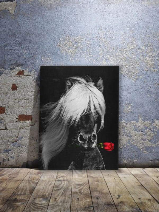 Dark Horse Rose