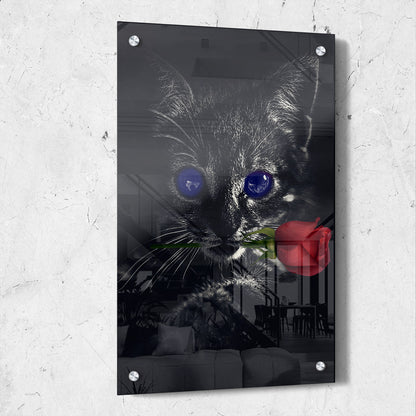 Dark Kitten Rose