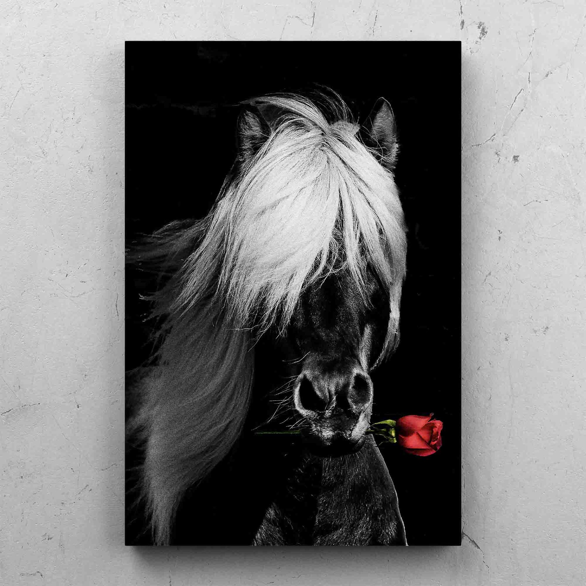 Dark Horse Rose