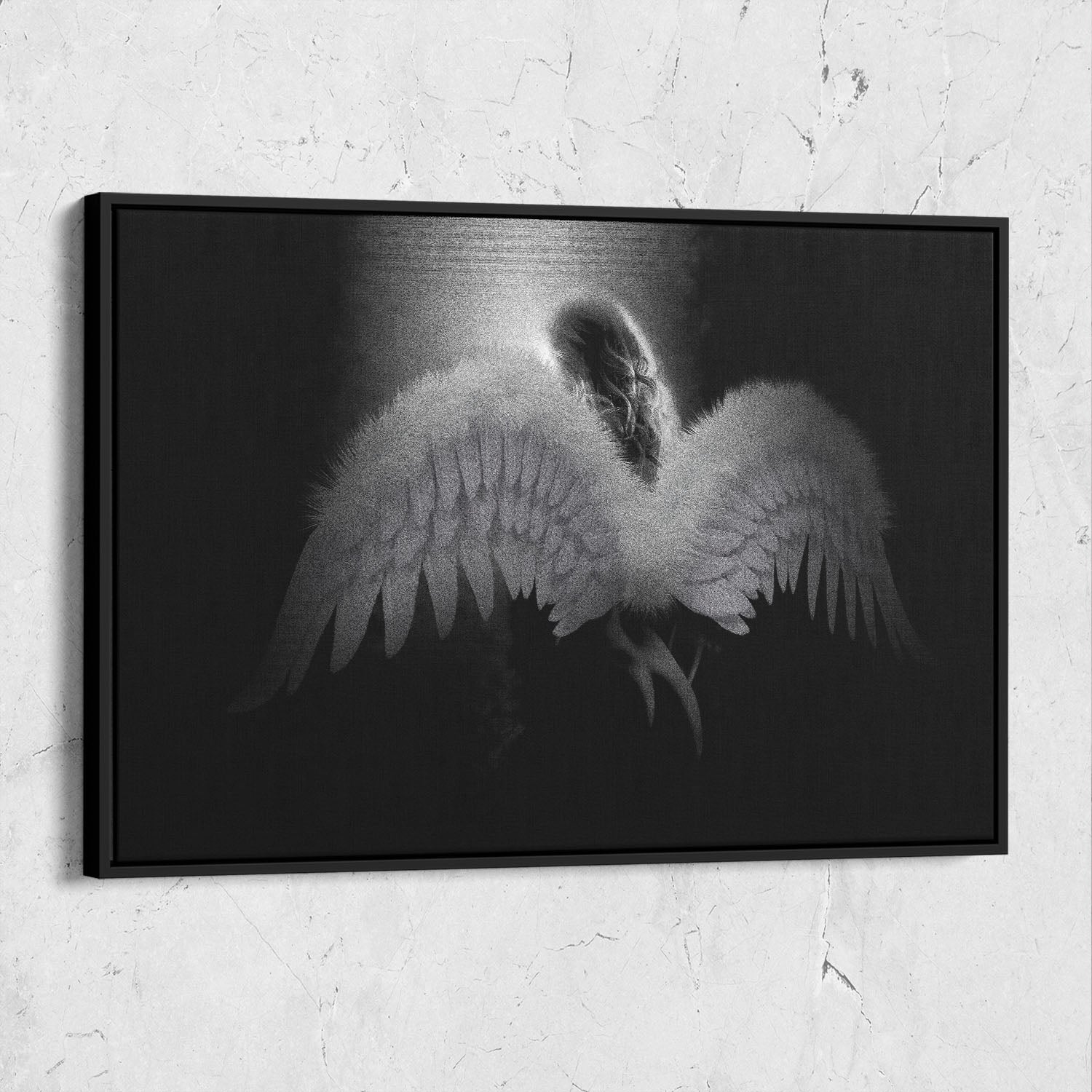 Angel Beauty Light